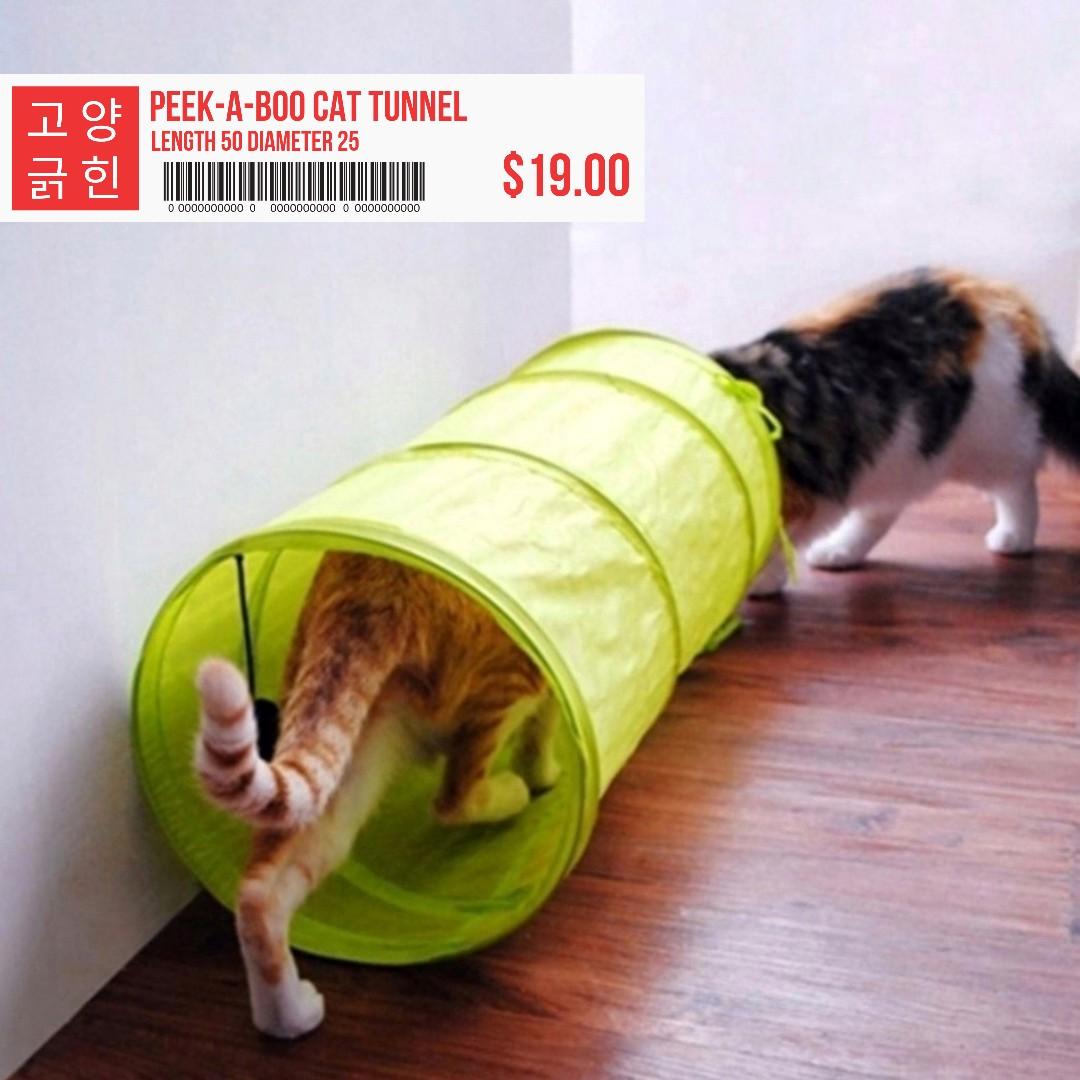 Peek A Boo Cat Tunnel Pet Supplies For Cats Cat Accessories On