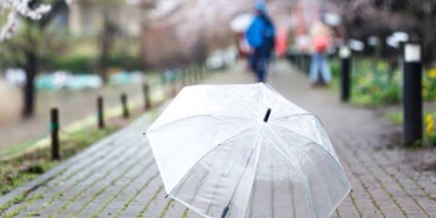 clear rain umbrella