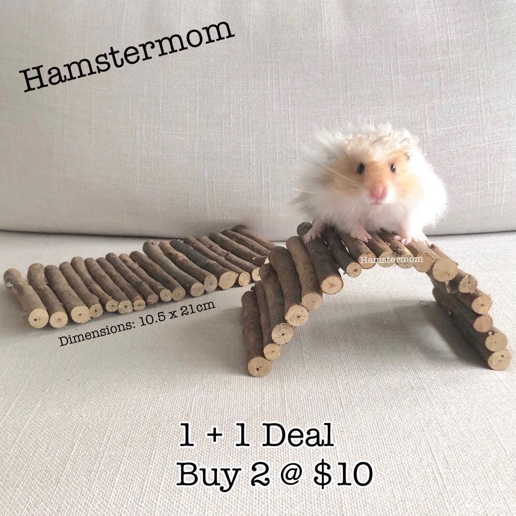 hamster bendable bridge