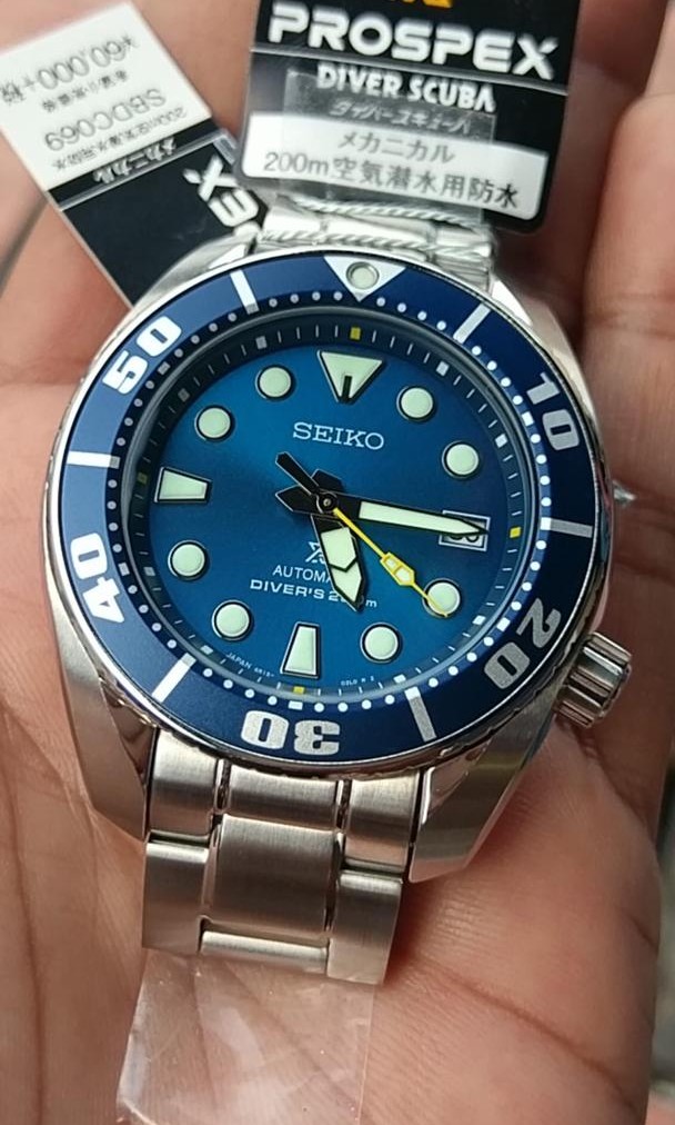 Sumo coral blue 2025