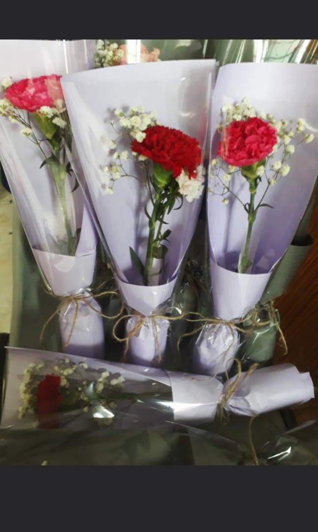 Carnation stalk Flower Bouquet, Hobbies & Toys, Stationery & Craft
