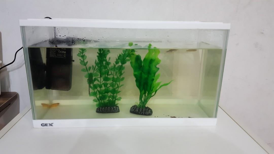 Selling A Desk Fish Tank Pet Supplies For Fish Fish Tanks On