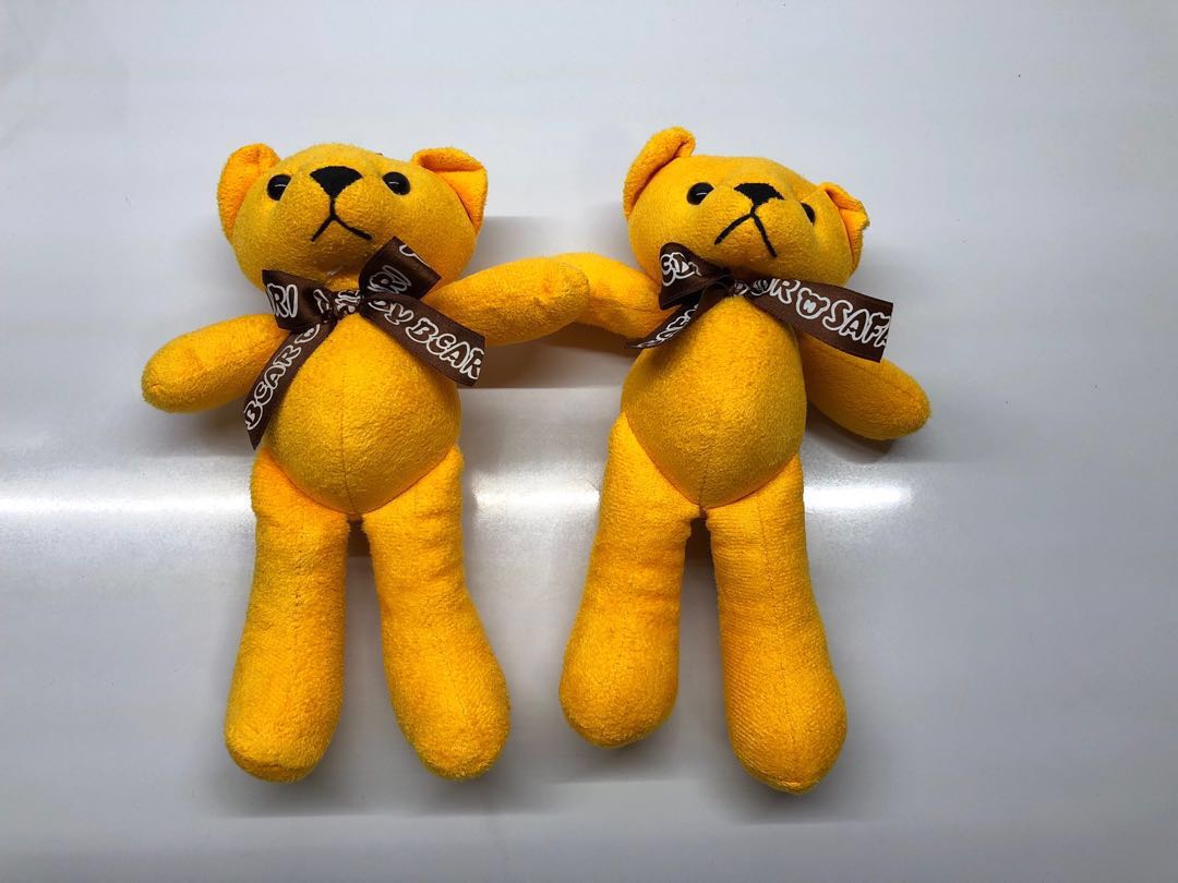 korean teddy bear