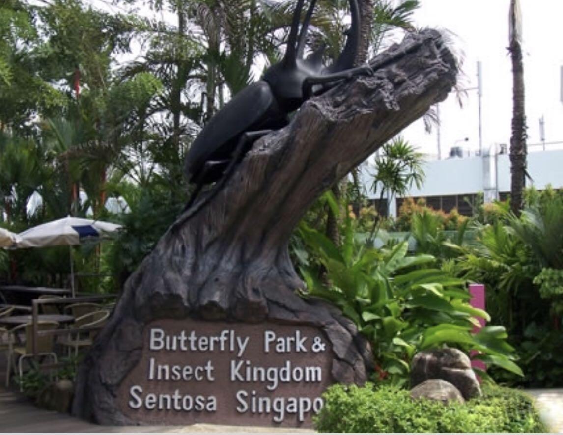 Butterfly Park & Insect Kingdom Sentosa, Tickets & Vouchers, Local Attractions & Transport on Butterfly Park & Insect Kingdom Sentosa, Tickets & Vouchers, Local Attractions & Transport on