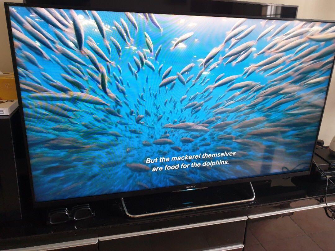 Sony KDL50W800C SP1, TV & Home Appliances, TV & Entertainment, TV on