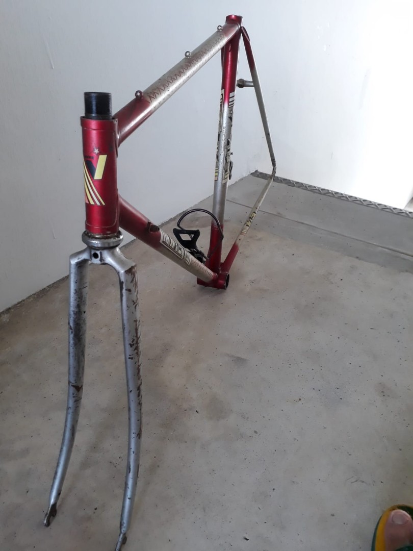 Vintage Viner Italy Bicycle Frame Sports Equipment Bicycles Parts Bicycles on Carousell