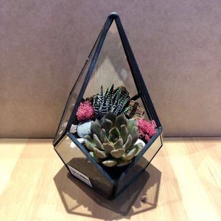 (Category: ) located in . Submitted by lushglassdoor (Listing ID 212575878, Image 1). Description: .
