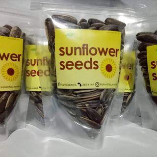 Sunflower Seed Ready to Eat