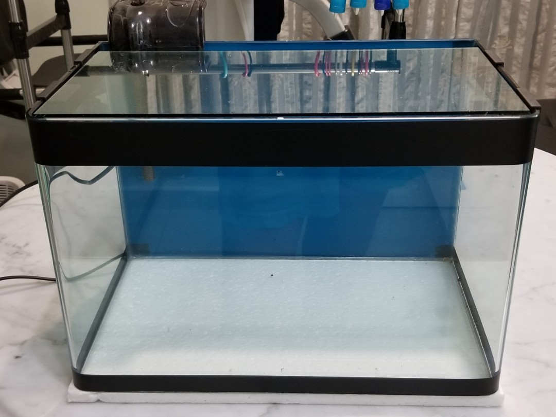 Curved glass aquarium Fish Tank