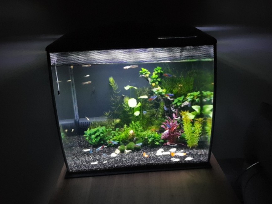 fluval flex 34l