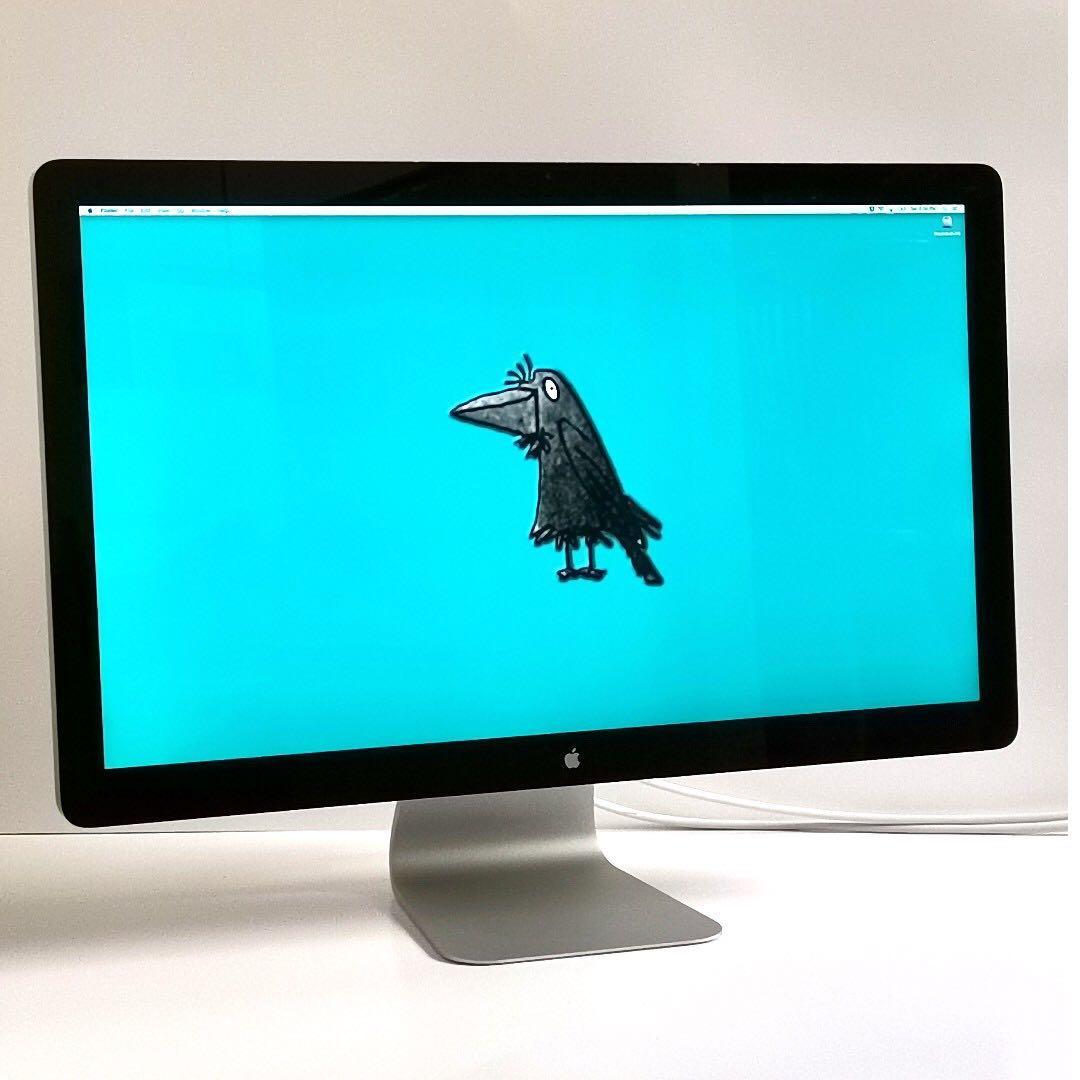 Apple 27-inch Thunderbolt Display #EndgameYourExcess