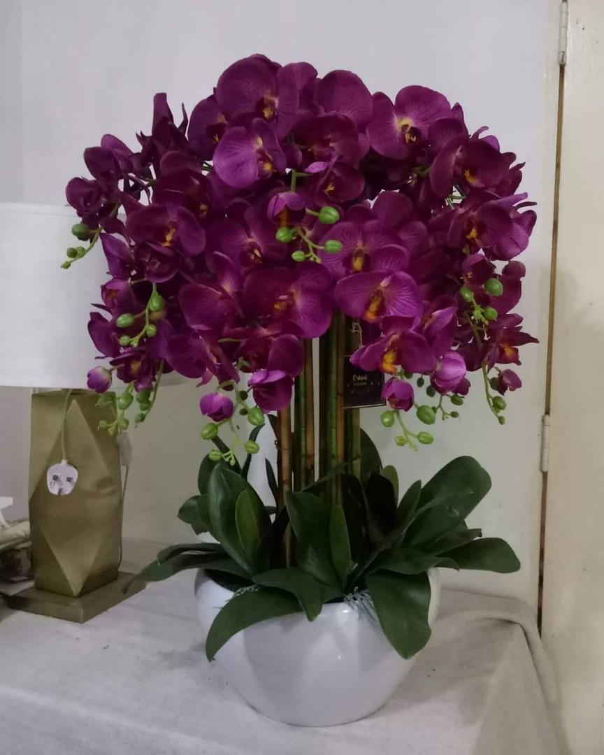 Orchid Home Furniture Home Decor On Carousell