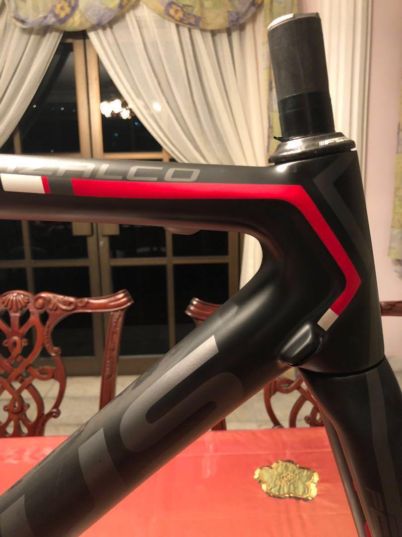 focus izalco sale