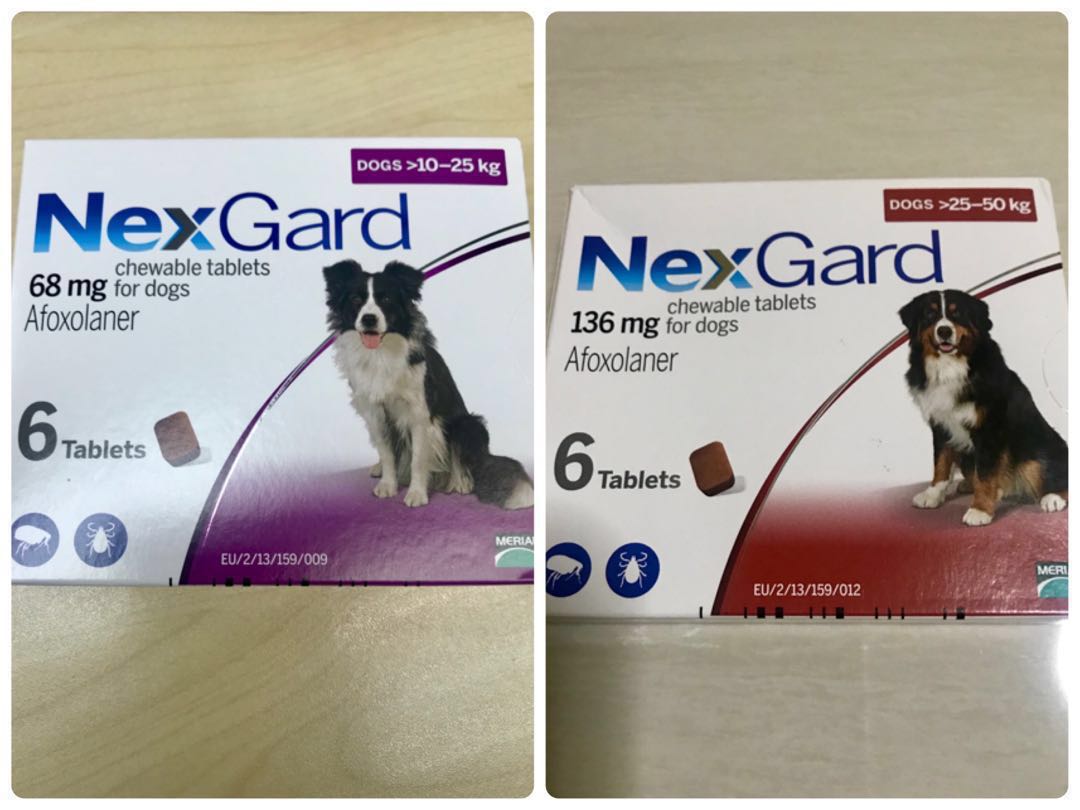 Nexgard 6-pack M &amp; L Combo Set, Pet Supplies, Homes &amp; Other Pet ...