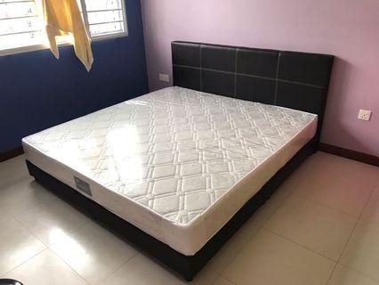 New bed set for clearance! 8 inches spring mattress!