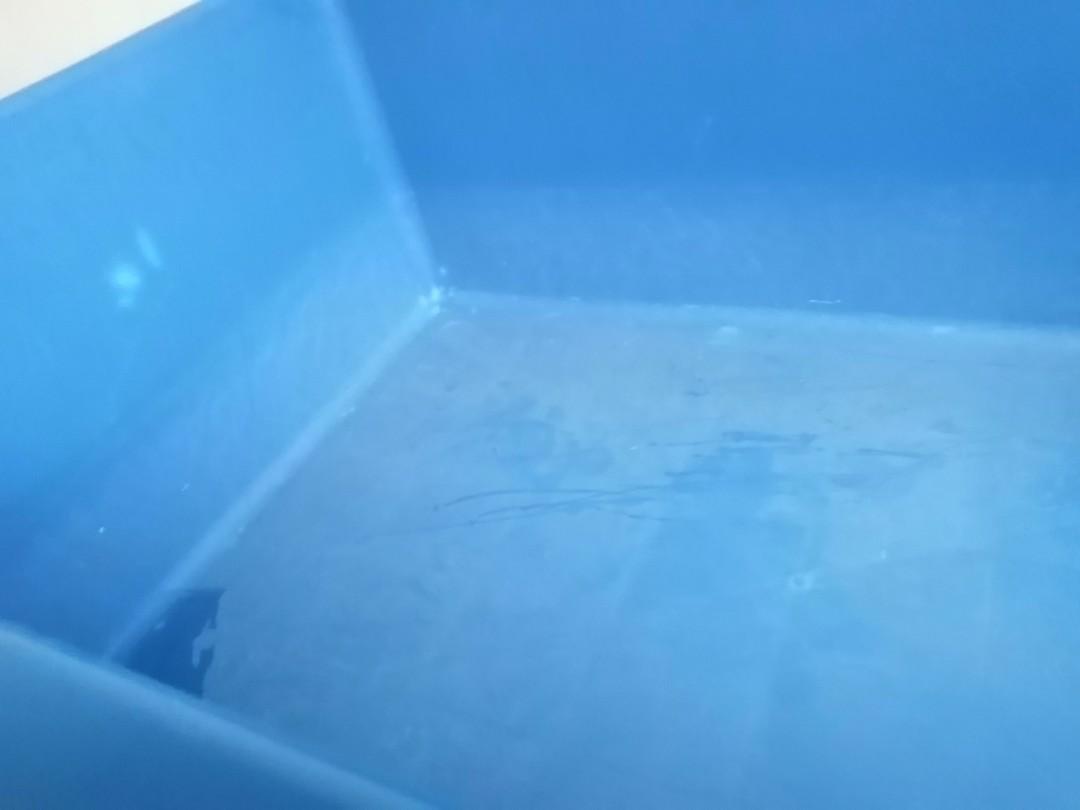 Secondhand Fiber Tank, Pond, Fish Tank, Tangki Ikan, Kolam Ikan, biru, Pet Supplies, Homes