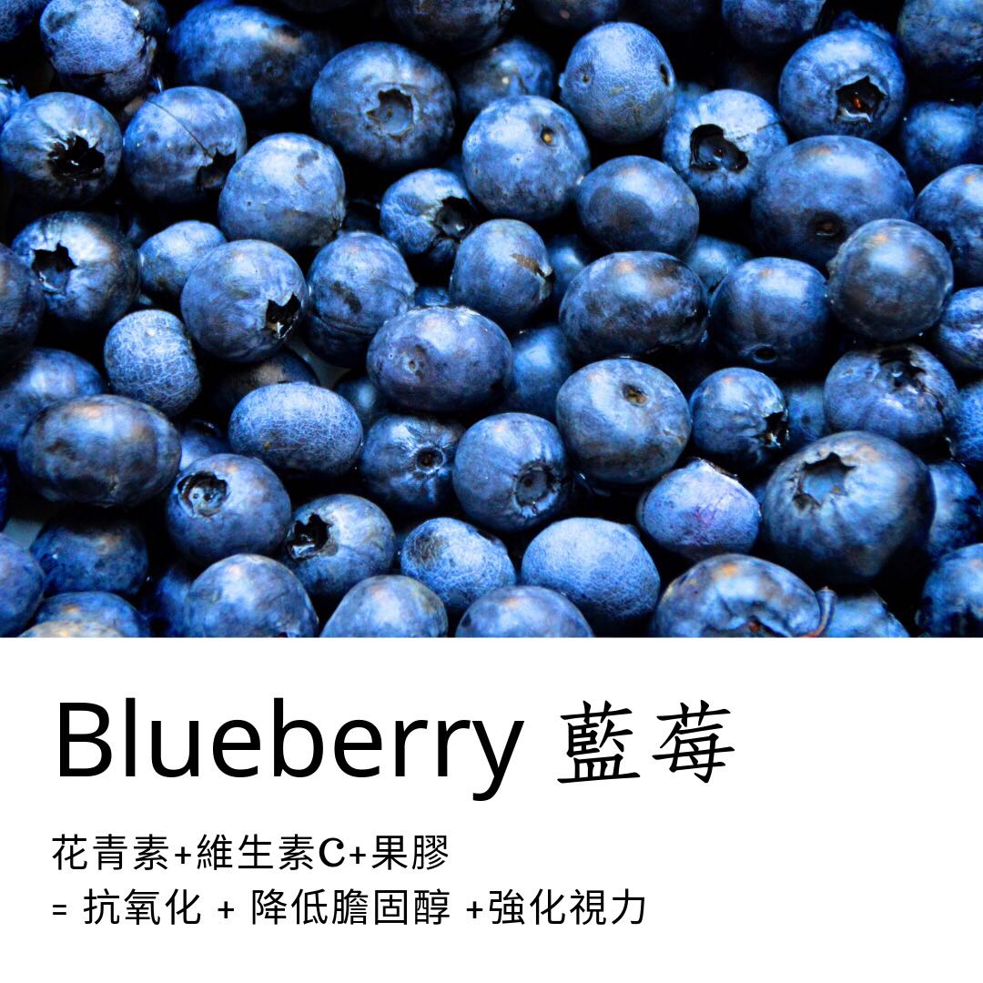 美國Stoneridge Orchards減糖藍莓乾 (113g 4oz)