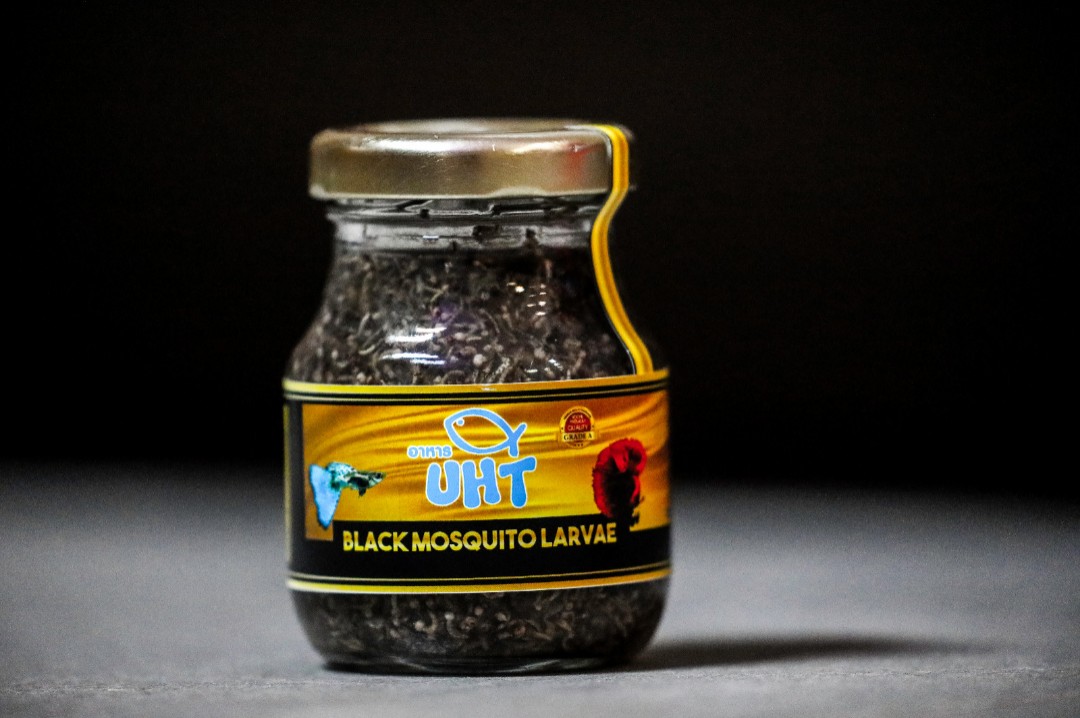 Betta mosquito larvae clearance