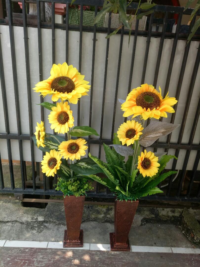 Bunga Matahari Jumbo / Jual Produk Artificial Bunga Matahari Jumbo Termurah Dan Terlengkap Juni 2021 Bukalapak / Benih bibit biji sunflower single giant / bunga matahari besar jumbo.