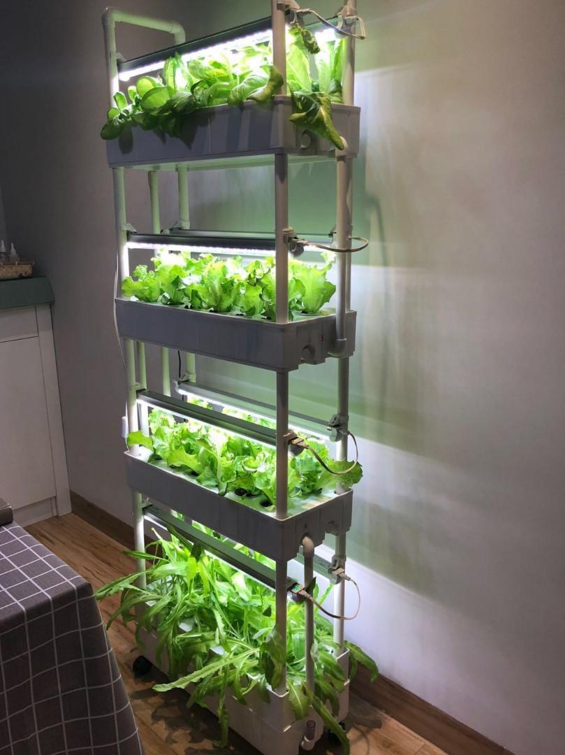 4 Tier Hydroponic Growing Kit Gardening Pots Planters On Carousell