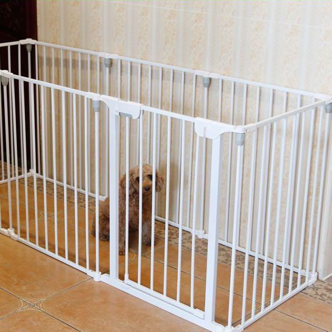 dog open crate