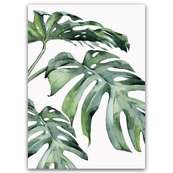Minimalist Leaves Watercolor Paintings Home Furniture Furniture Fixtures Others On Carousell
