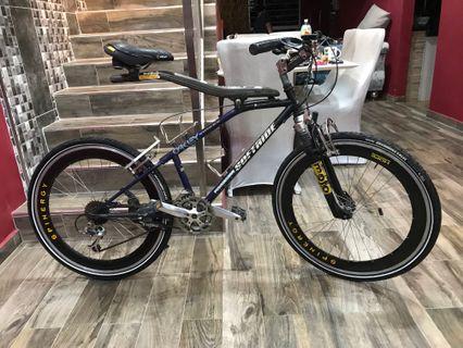 Softride Beam Suspension Technology MTB bike