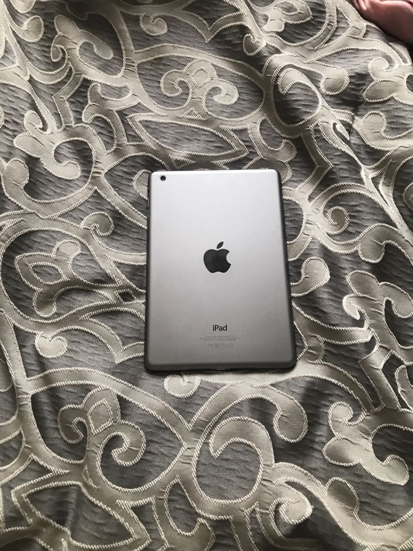 1st Gen iPad Mini