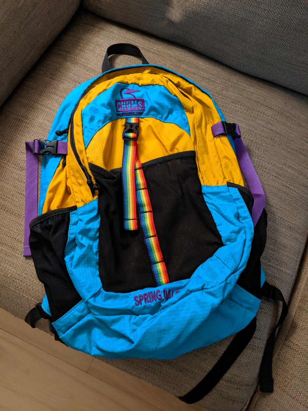 CHUMS Spring Dale 25 backpack, 運動產品, 行山及露營- Carousell