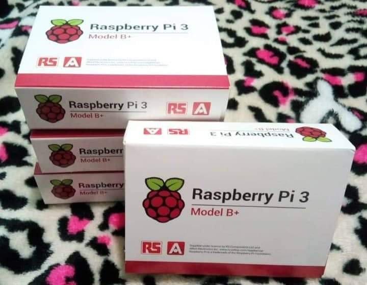 RASPBERRY PI 3 MODEL B+, Computers & Tech, Parts & Accessories ...