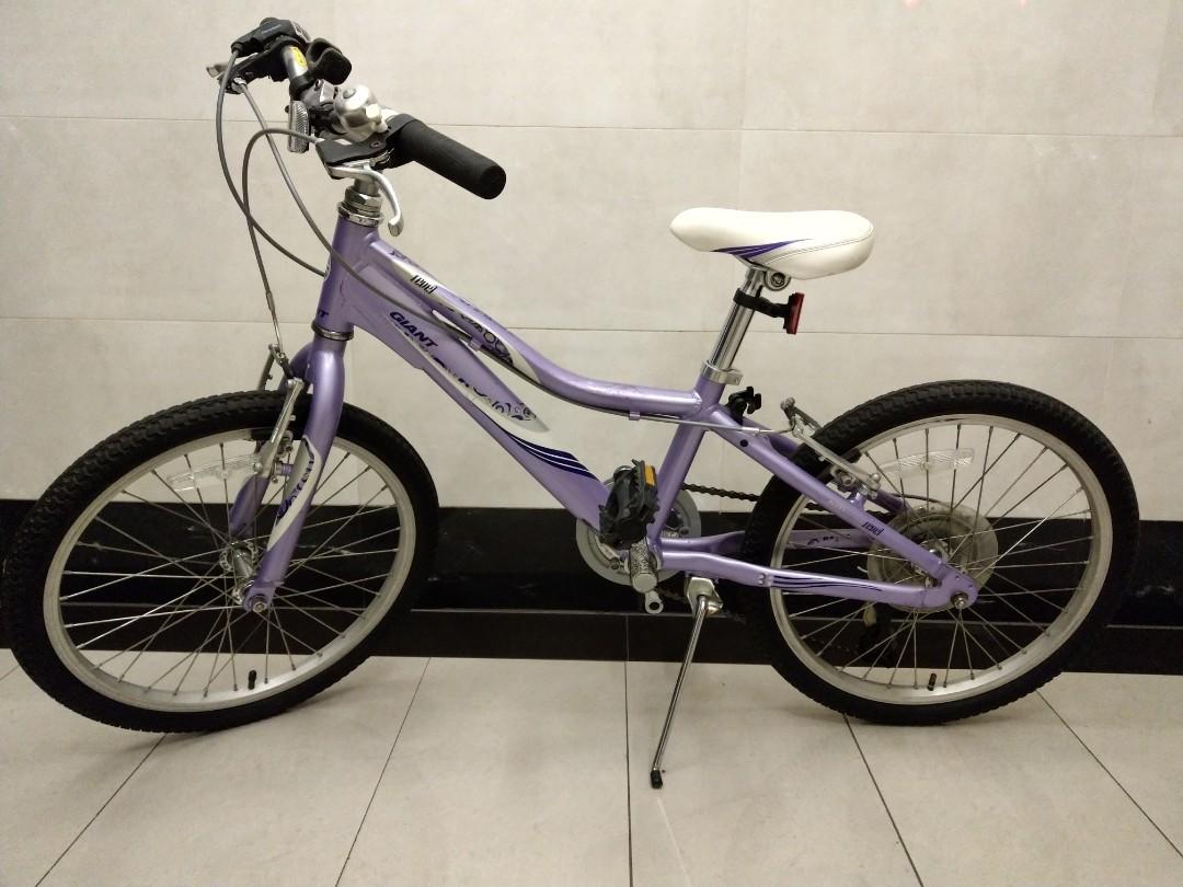 Giant revel 2025 jr 20