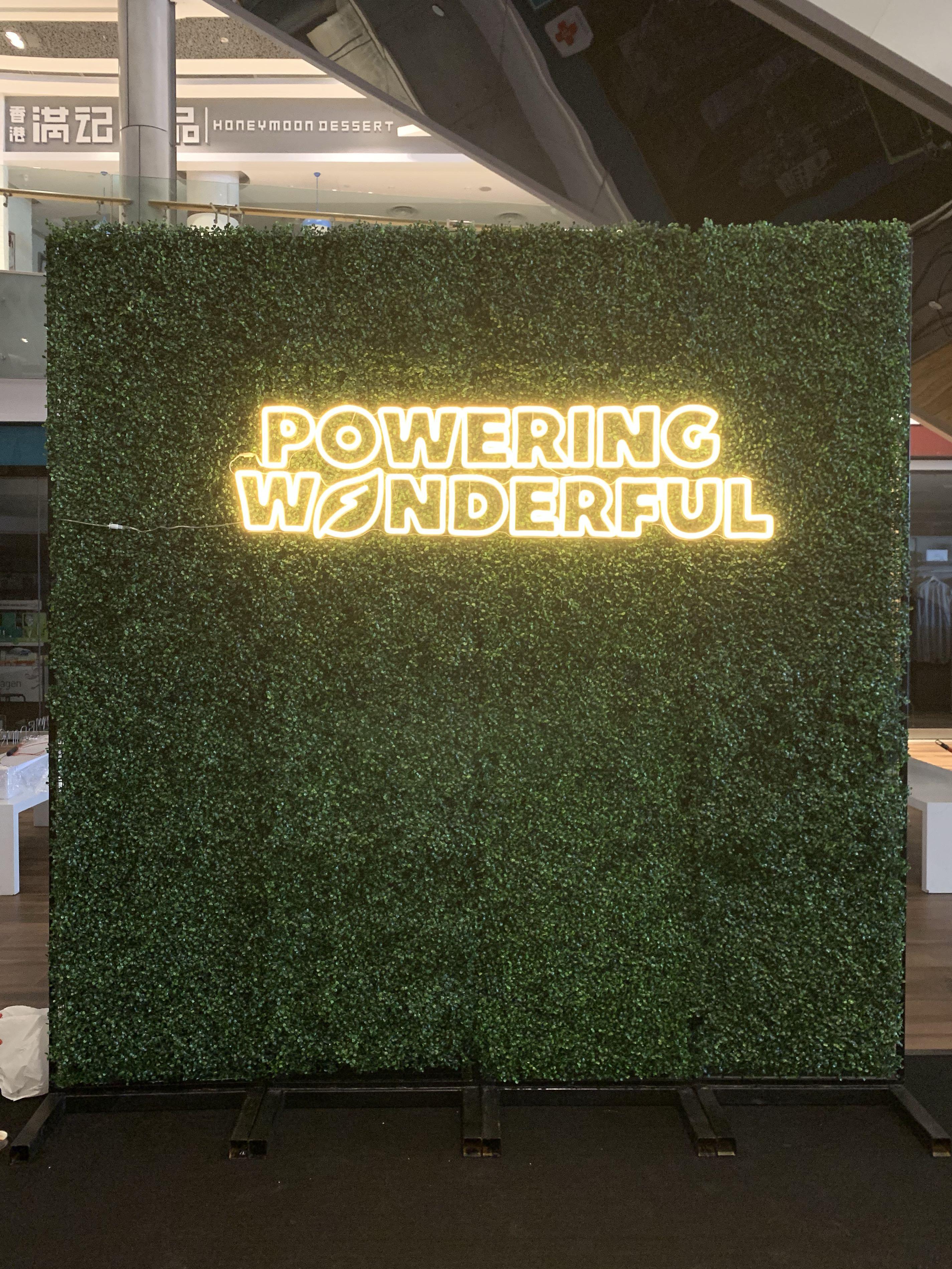 Artificial Green Wall Backdrop Rental, Furniture & Home Living, Home