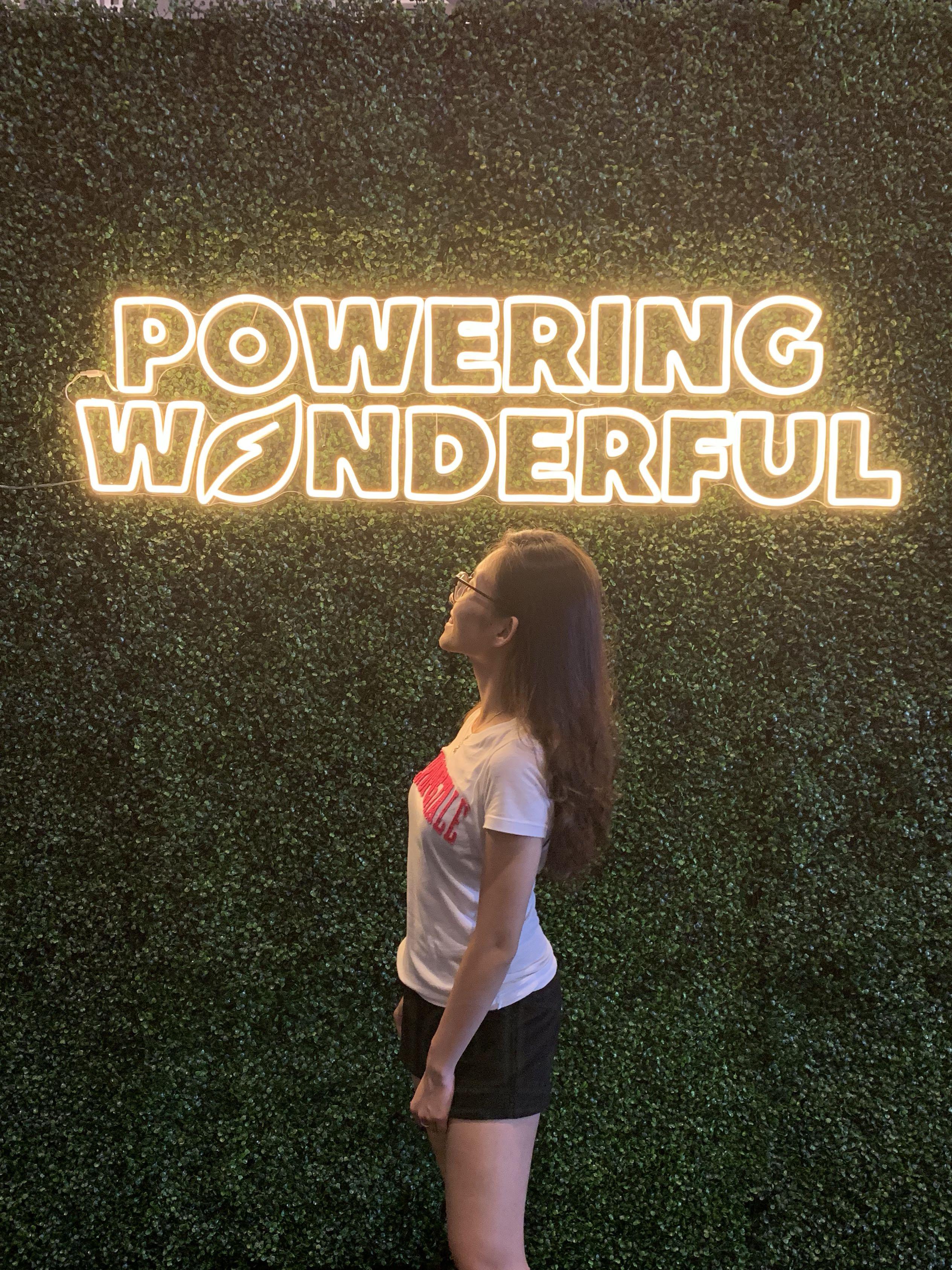 Artificial Green Wall Backdrop Rental, Furniture & Home Living, Home