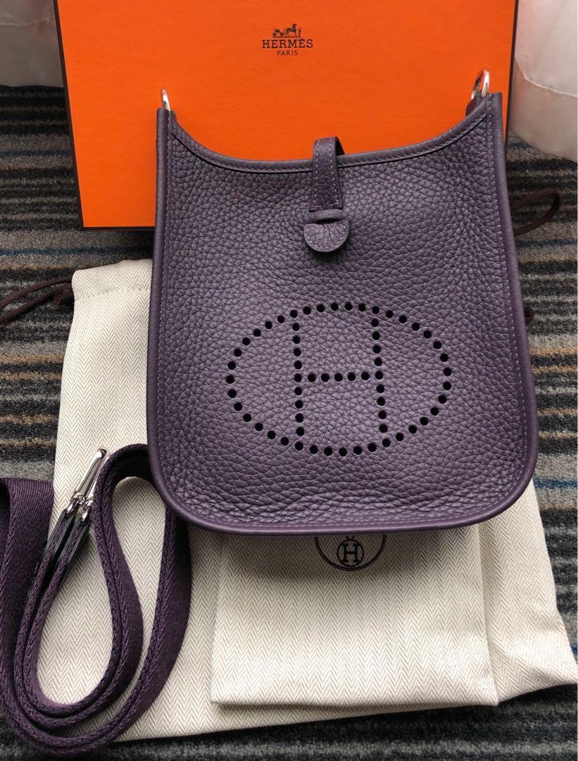 hermes evelyne raisin