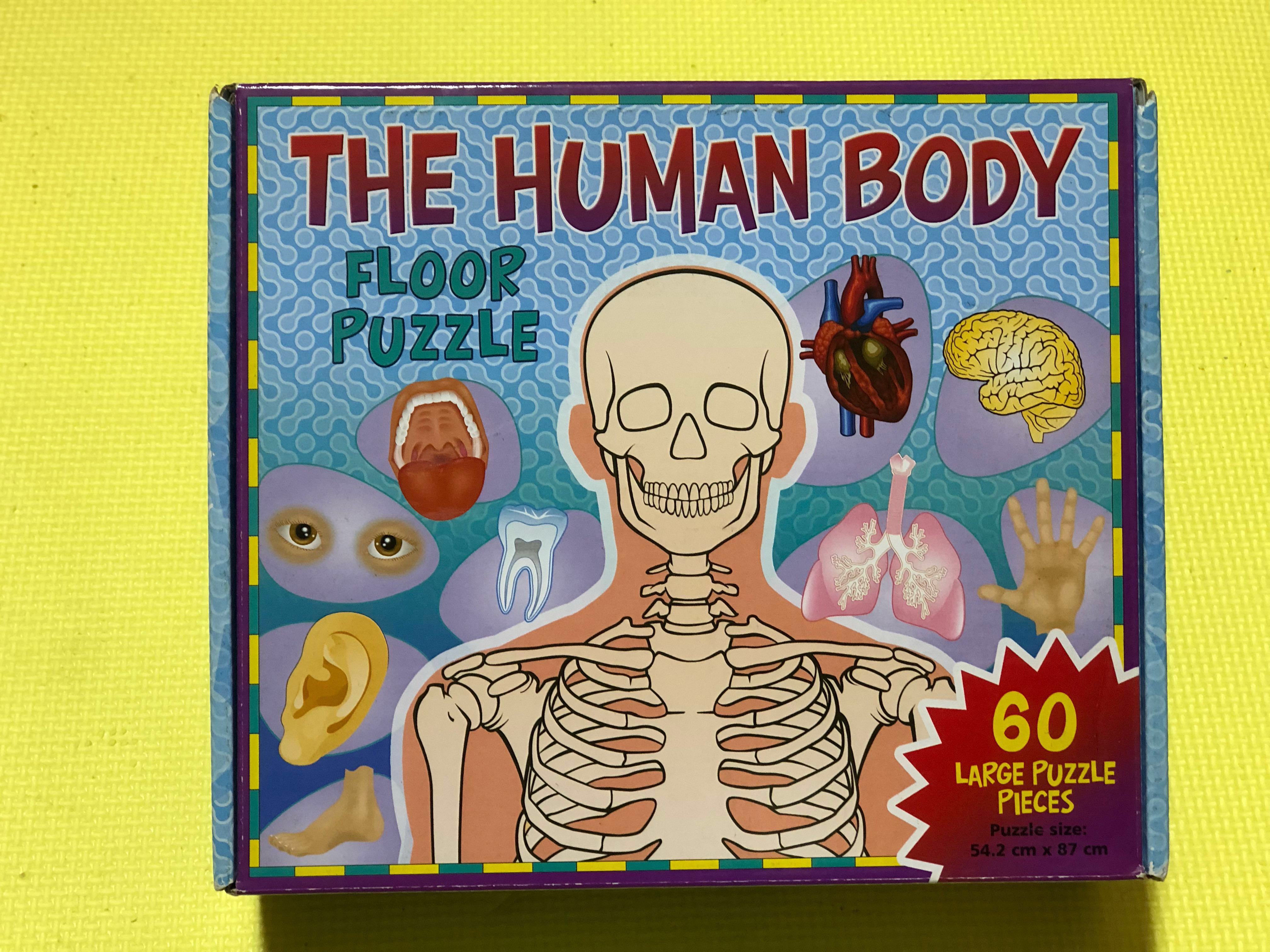 Jigsaw Puzzle Human Body, Hobbies & Toys, Toys & Games on Carousell