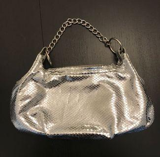Silver Purse