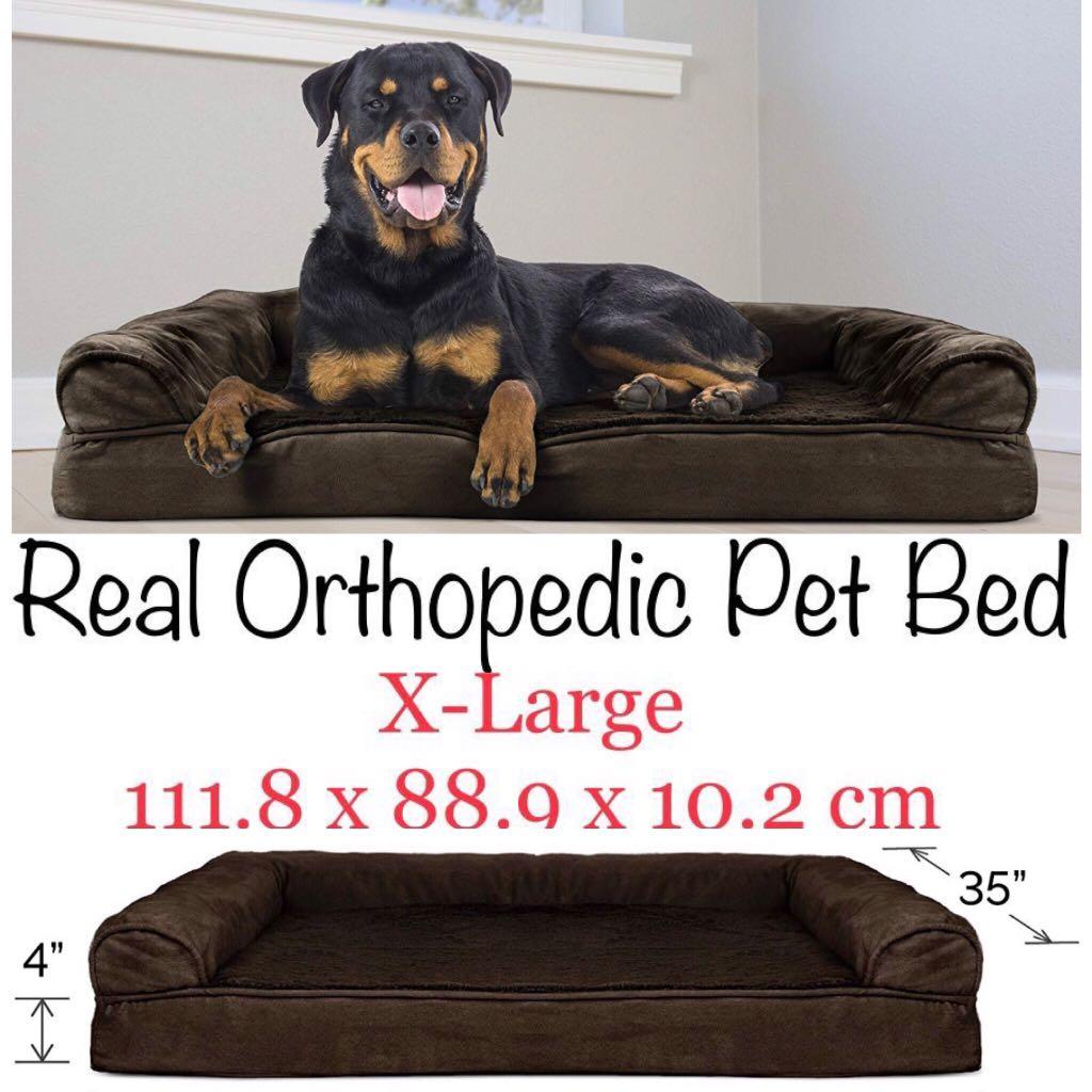 xl dog sofa bed