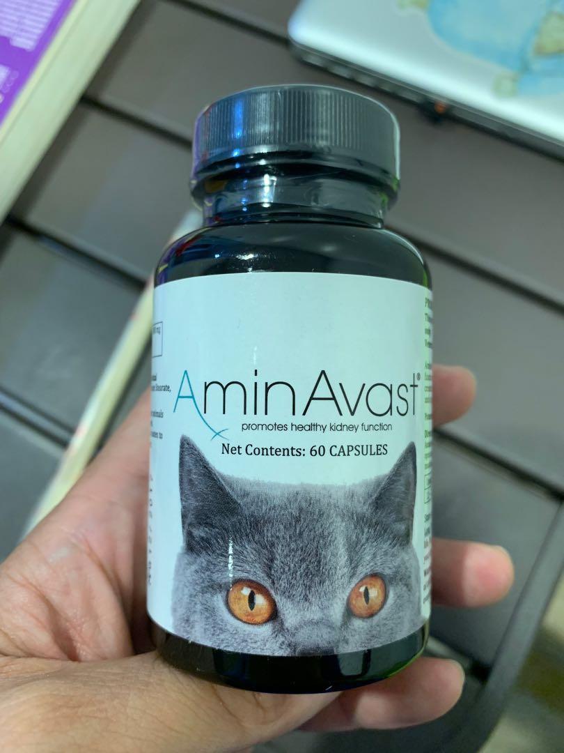 aminavast chewy