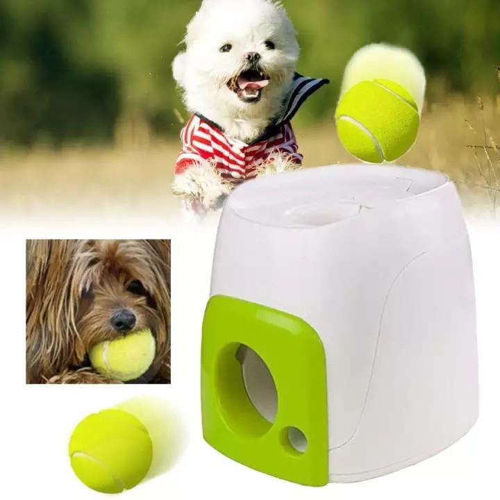fetch dog supplies