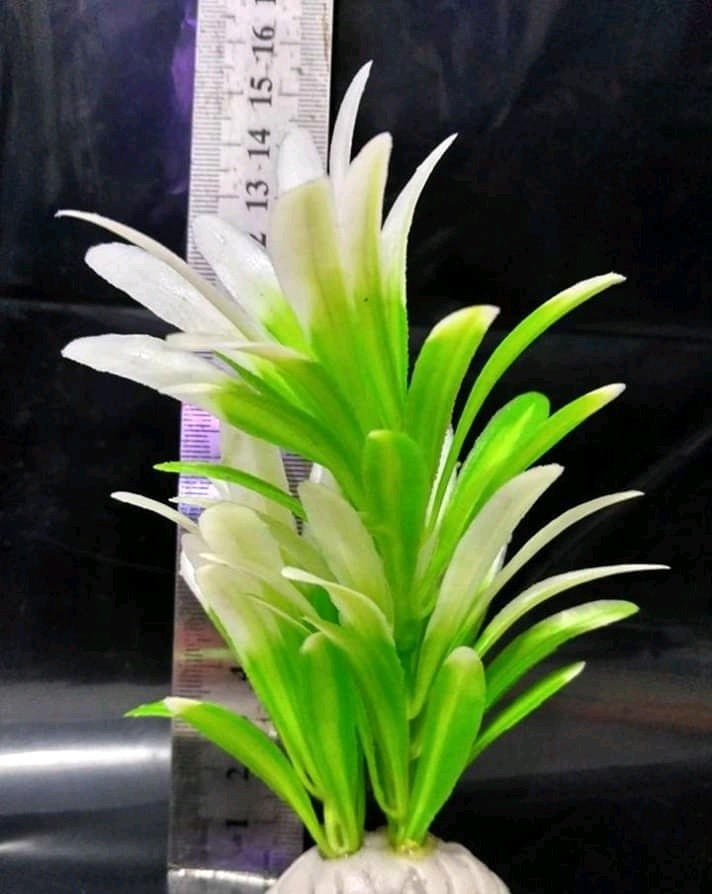 Bapau Bunga Hiasan Aquarium 15cm Pet Supplies Accessories On