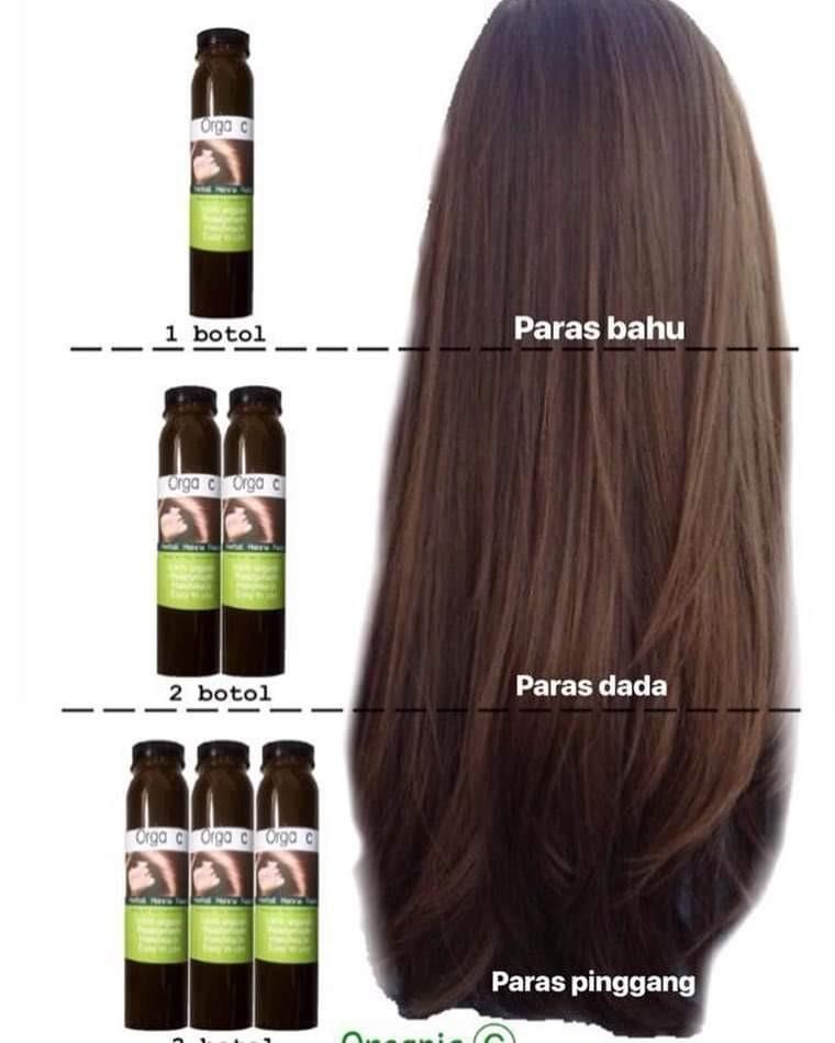 Rambut Paras Bahu