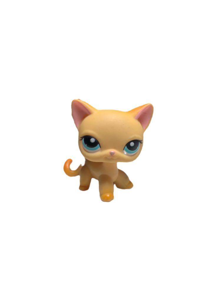 Lps Shorthair Cat Toys Games Bricks Figurines On Carousell
