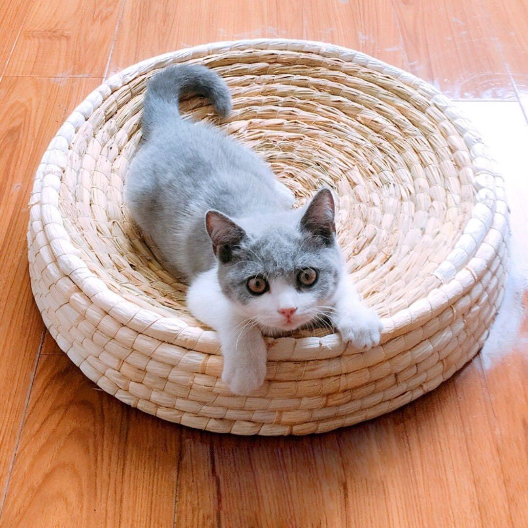 Scratch Bed For Cat Kitten Made Of Straw And Corn Husk Not Cage