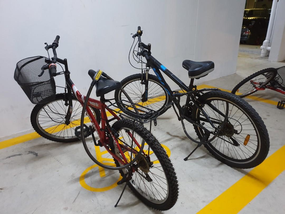 Bicycle price near me 2025