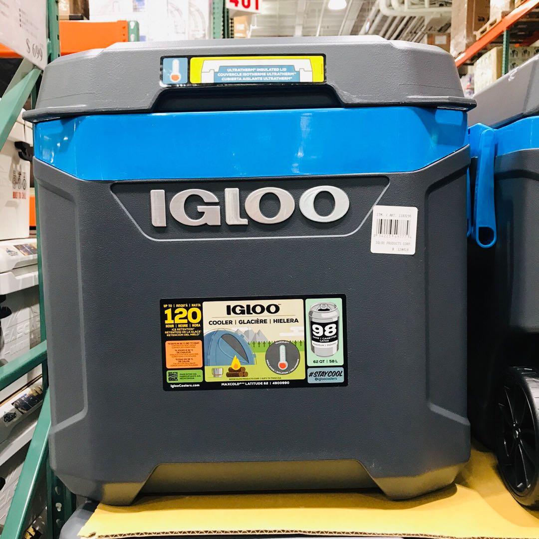 Igloo 冰 桶 hotsell