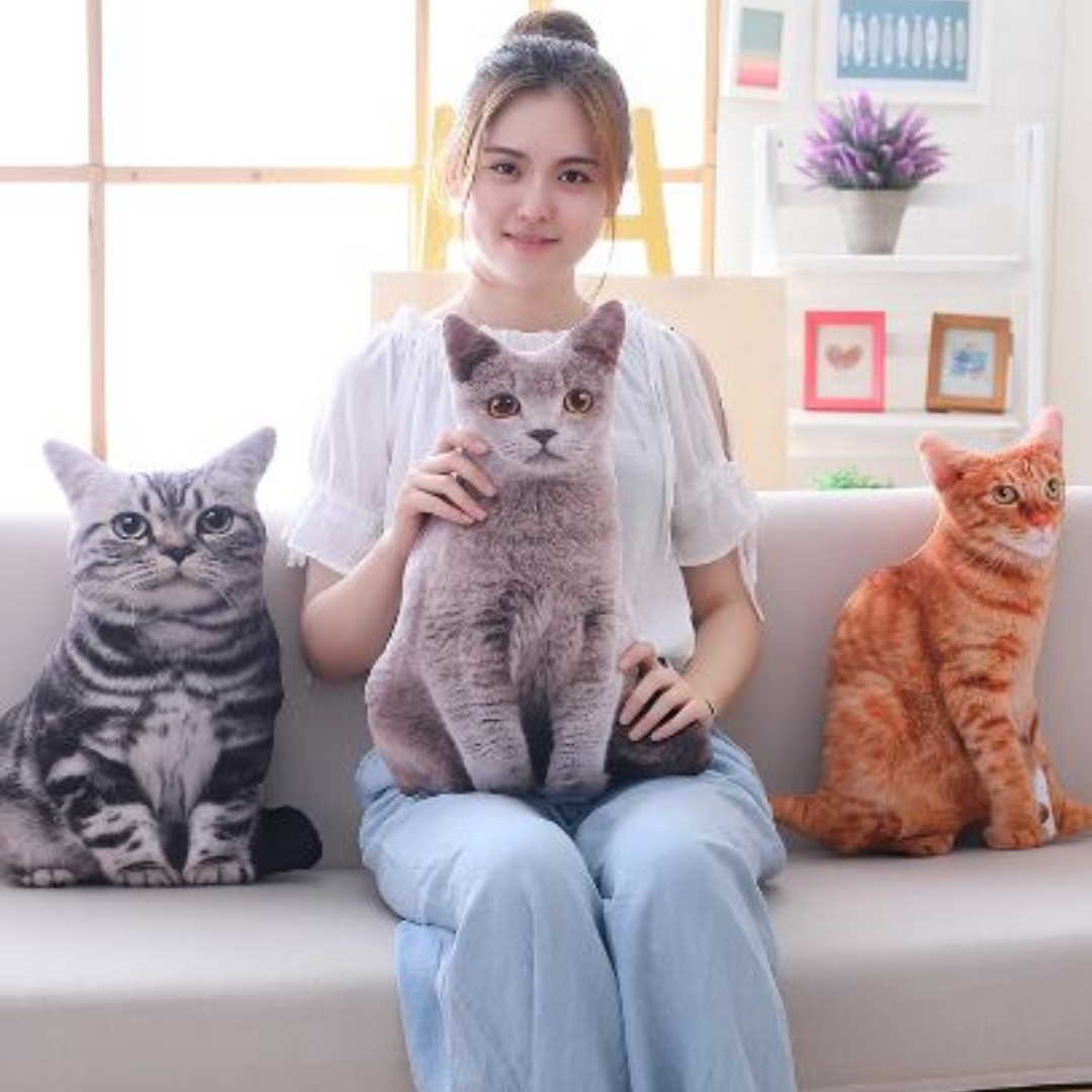 Free Delivery Cute Large Cat Pillow Plush Toy Toys Games Stuffed Toys On Carousell
