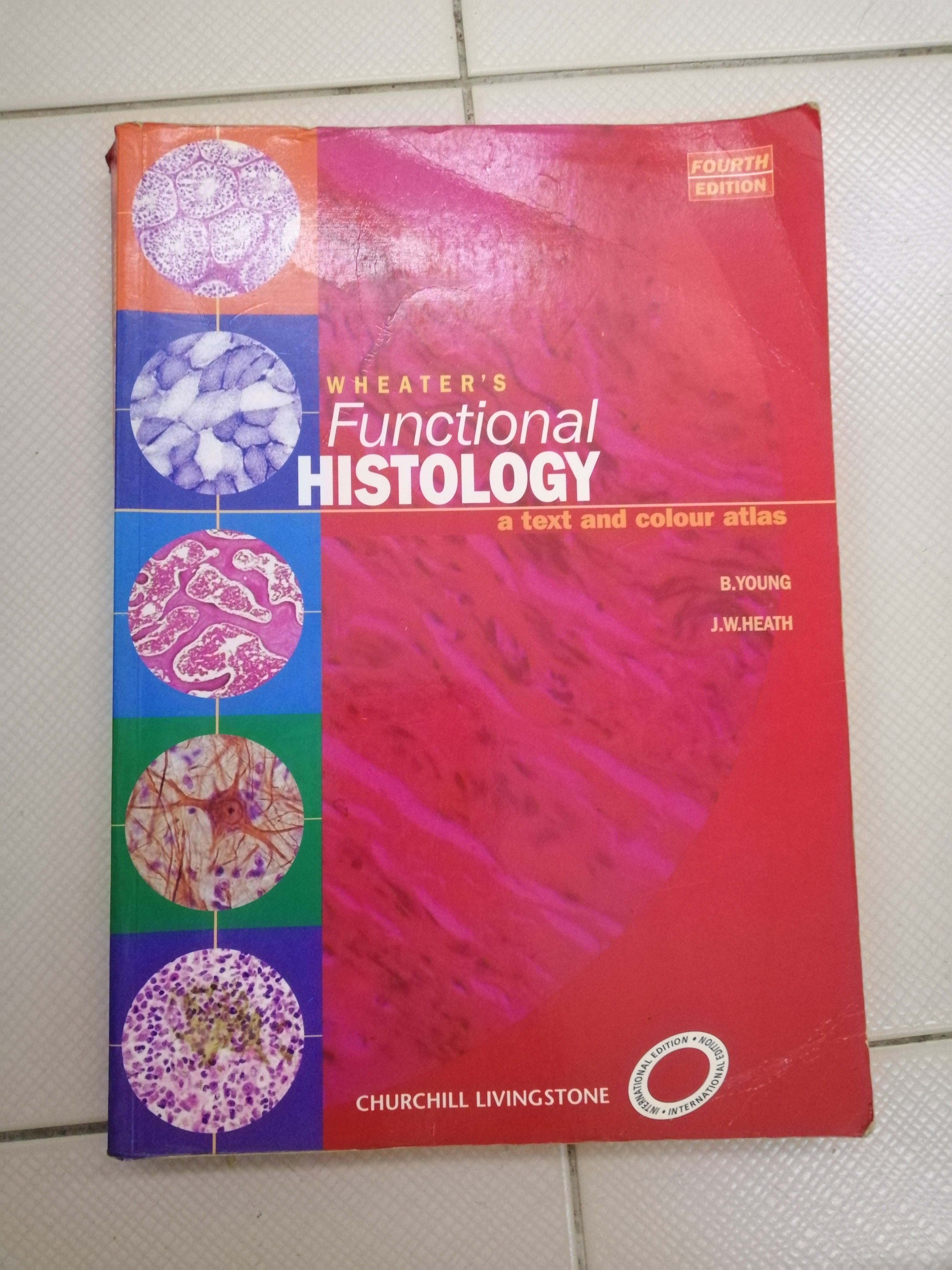 Functional Histology - 