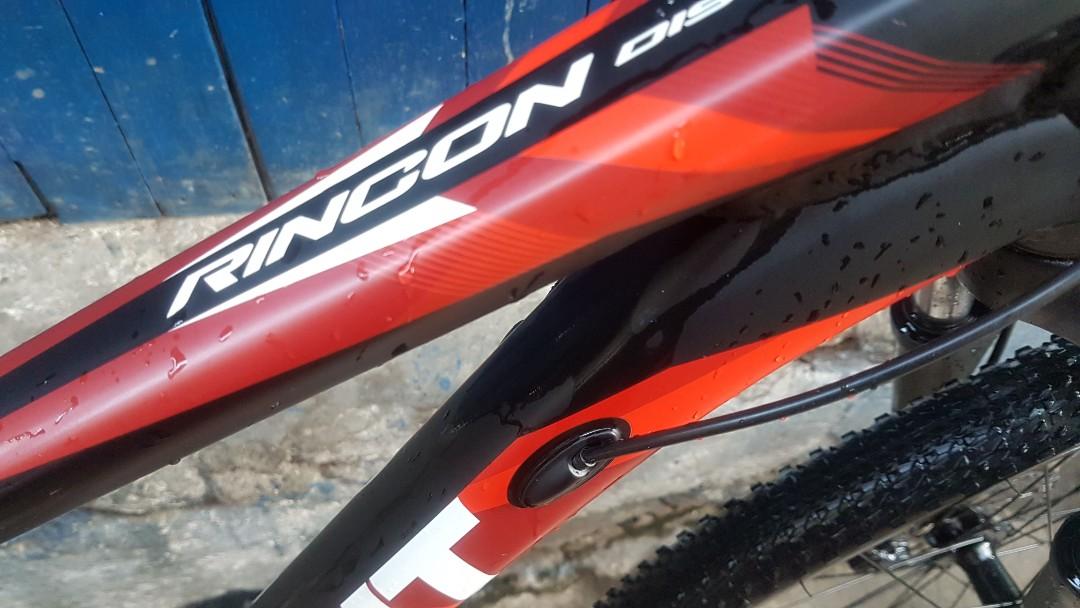 Rincon disc 2025 2019