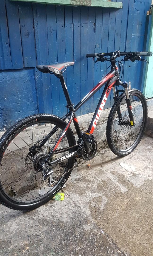 Rincon disc 2017 top