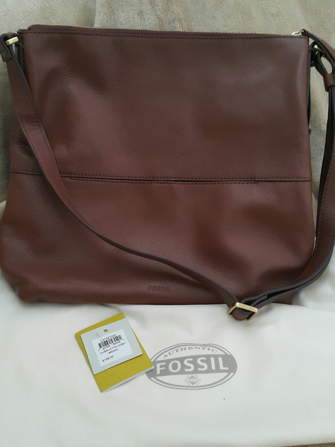 Charlotte hobo fossil store